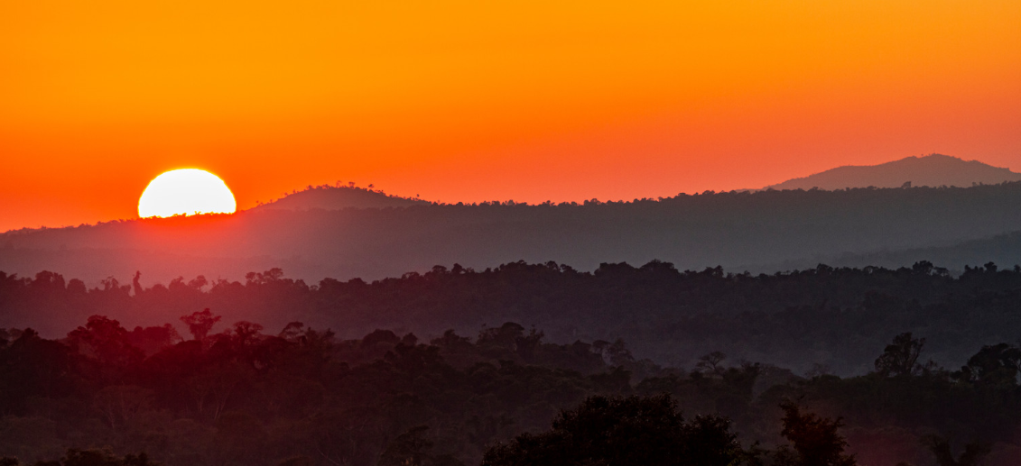 Sunset over forest (C) FSC/Emilio White