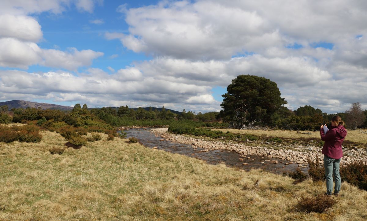 Strathspey Estate (c) FSC UK