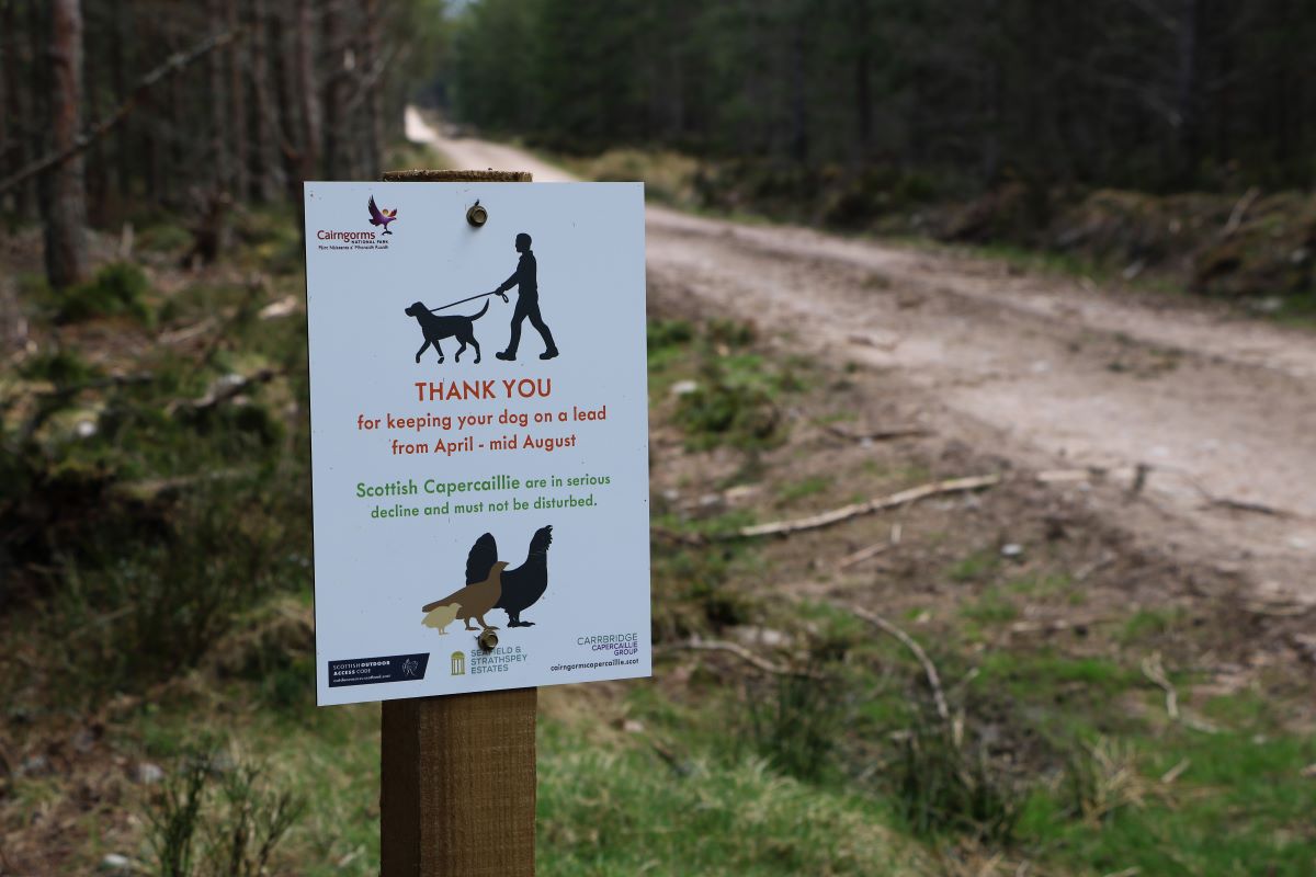 Strathspey Estate (c) FSC UK