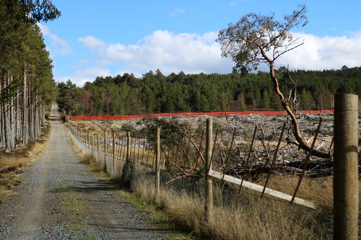 Strathspey Estate (c) FSC UK