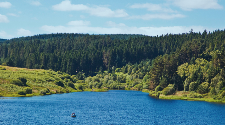 Photo of Kielder forest and Kielder water