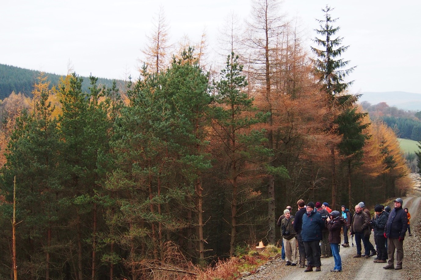 A photo of the Forest Network visiting the UK in 2017