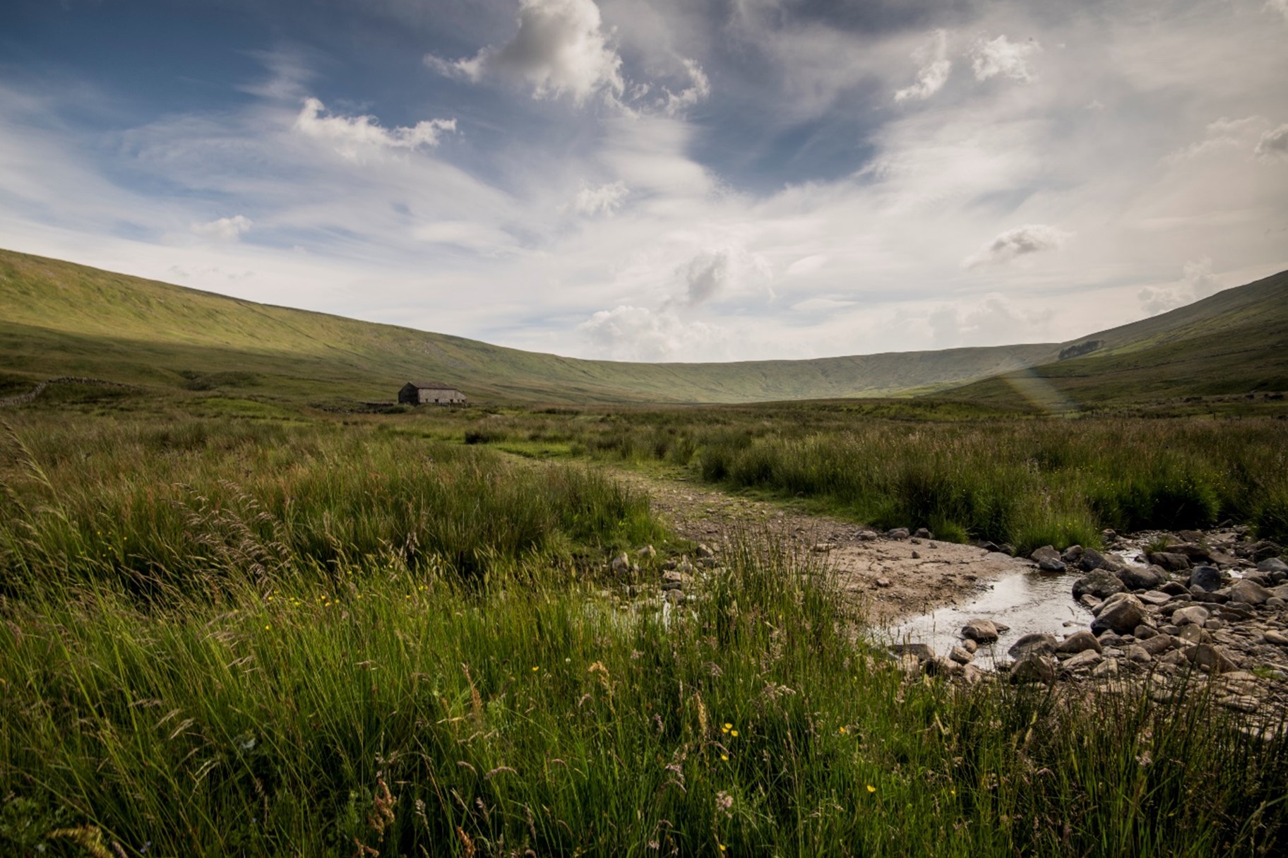 Snaizeholme (C) Woodland Trust