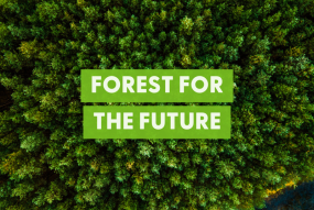 FSC Forest for the future