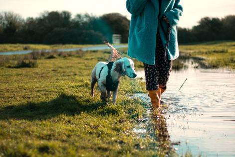 Woman walking in puddle wearing yellow wellies