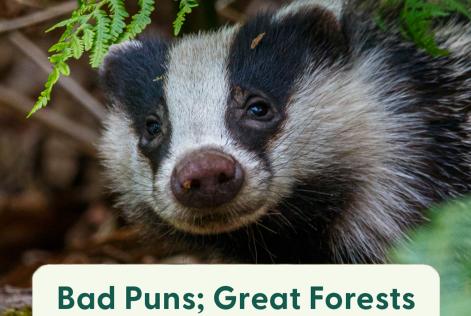 bad puns great forests