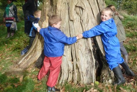 Children from Gaer Nursery and Infant School hugging a tree on FSC Friday