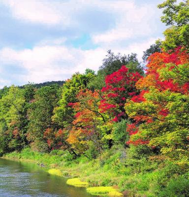 Allegheny River (c) Collins Company / FSC US