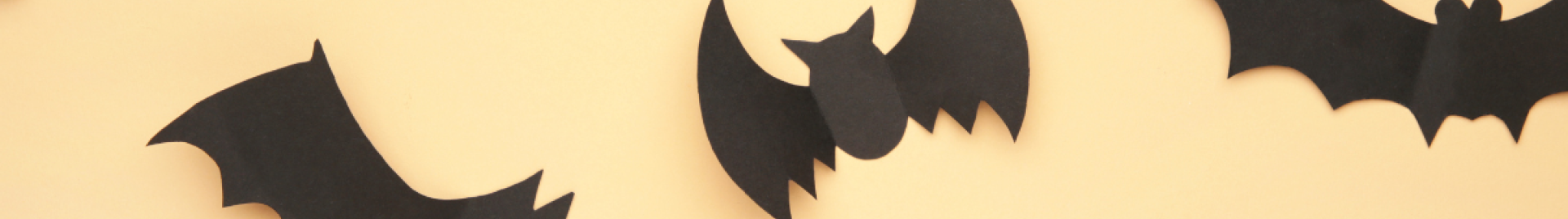 Paper bats - image from Canva