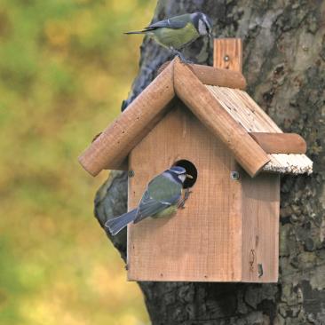 Birdbox from CJ Wildlife